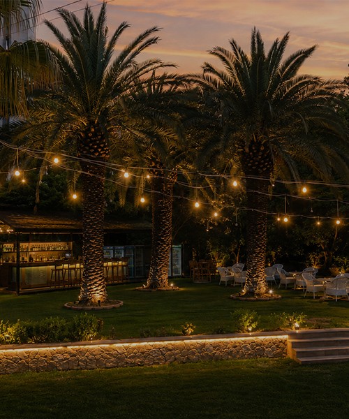 Palmiye Bar